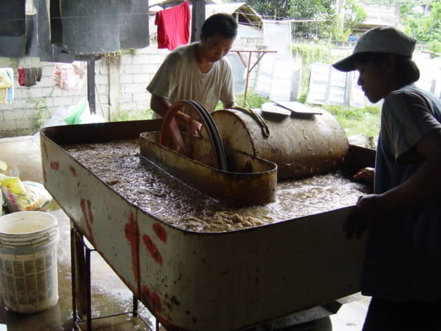 Chopping the abaca pulp