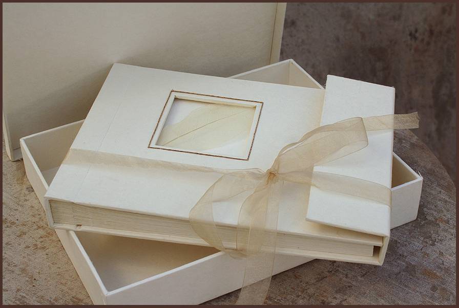 Roma-box-fossil-strik