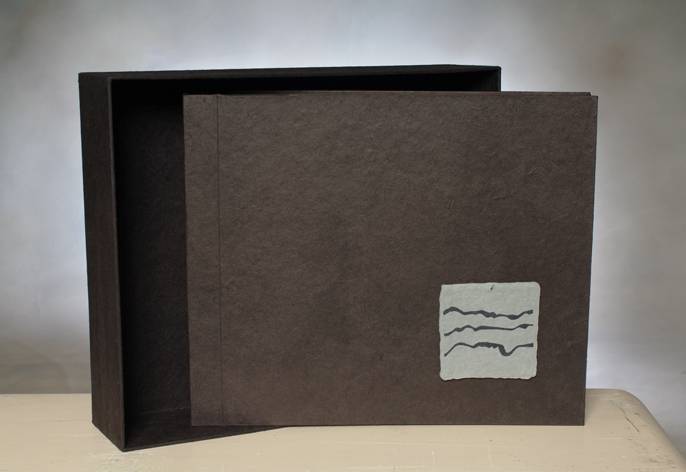 Stripe album color Terra brown + box